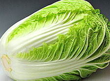 白菜