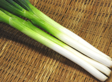 ねぎ