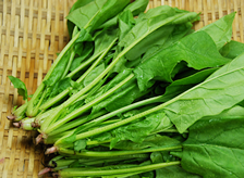ほうれん草