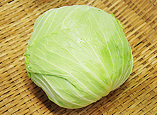 キャベツ